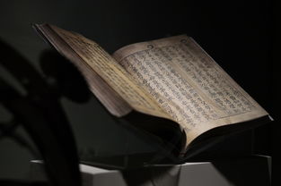 (神喻精粹)神喻的意思及其在文学与艺术中的运用方式详解