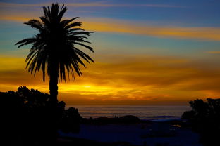 (江湖秘术18个,附破解方法)揭秘江湖攻略-助你成为高手的必备秘籍 (江湖秘术18个,附破解方法)揭秘江湖攻略-助你成为高手的必备秘籍