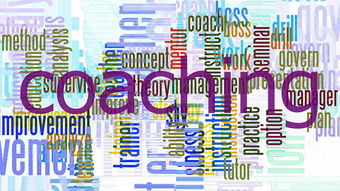 探索美好人间:以落樱小屋和栖木同类游戏为视角对现代休闲游戏设计理念的思考 探索美好人间:以落樱小屋和栖木同类游戏为视角对现代休闲游戏设计理念的思考