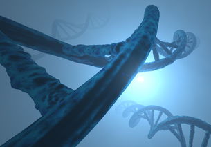 《进化》游戏：探索不同生物的进化之旅，挑战自己的极限和智慧。