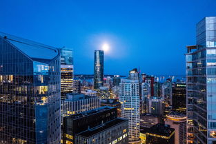 (小小蚁国区域战攻略)探索小小蚁国中的平民最强阵容:构建你的顶尖战队策略与技巧 (小小蚁国区域战攻略)探索小小蚁国中的平民最强阵容:构建你的顶尖战队策略与技巧