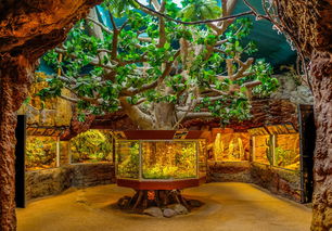 (天空纪元g服)天空纪元n服：是停服了还是关服了？玩家们期待官方消息