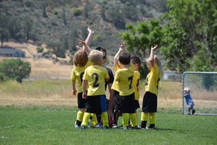 (盼之代售官网网址)盼之代售交易平台官网：安全便捷的在线买卖交易平台