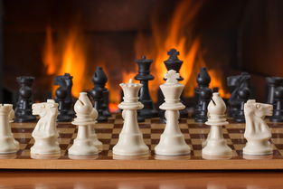 生死轮回中个体成长规律：从诞生的涅槃、成熟的彰显，到衰老的智慧与死亡的静默