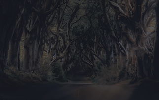 探索奇怪的单机游戏连连看：挑战你的反应能力与观察力的全新体验