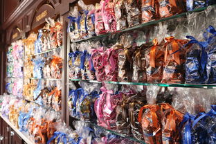 遗忘的海岸不付费版:探秘神秘海域,揭秘无须花费就能体验的冒险之旅 遗忘的海岸不付费版:探秘神秘海域,揭秘无须花费就能体验的冒险之旅