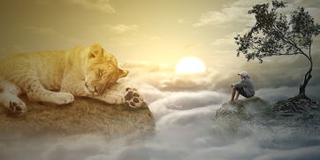 (变形金刚击倒和打击漫画出场)深度解读变形金刚打击和击倒CP，揭秘隐藏的故事情节与关系