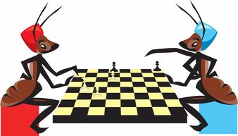 阴阳师智走棋在哪玩？想知道最新玩法和攻略？来了解这款游戏的玩法和精髓吧！