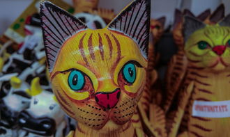 (心力物语官方)心力物语激活码：获取最新激活码的方法及使用技巧大揭秘