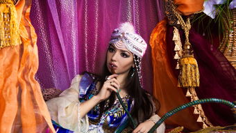(延禧攻略之金枝玉叶百科)延禧攻略之金枝玉叶：宫廷权谋，后宫争锋，爱恨情仇尽在其中