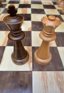 (象棋游戏的玩法说明和规则)探寻象棋官方版的规则与玩法，感受传统智力游戏的精彩魅力！