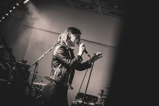 (安苏羽所有歌曲)完整回顾:安苏羽歌曲大全及其音乐艺术成就深度解析