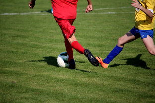 (梦幻足球联盟19球衣)梦幻足球联盟19绝版球员补丁：打造梦幻阵容，尽享绝版球员魅力