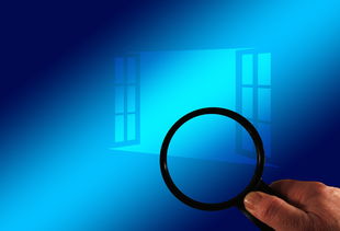 (无限融合进化)探索不断融合进化元素的游戏世界,解开无尽之谜 (无限融合进化)探索不断融合进化元素的游戏世界,解开无尽之谜