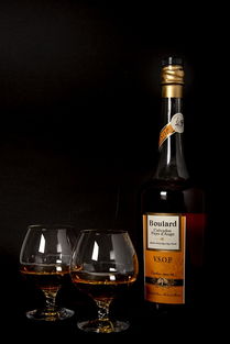 (列王纪原版)菲尔多西的《列王纪》：探讨权力与背叛的纷争与困境