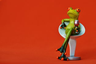 (碧雪情天之冰雪传奇宝石合成)探秘冰雪传奇：碧雪情天攻略大揭秘，让你成为冰雪王者！