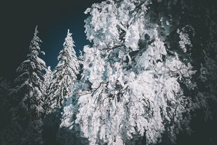 (劫出无尽)探访神秘世界的刺激冒险：劫界手游带你踏上无尽挑战之旅