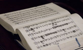 (lovelive停更)Lovelive游戏停服，玩家继承游戏记忆与情感