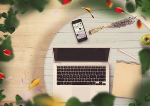 (电脑垃圾清理输入什么指令)了解电脑垃圾清理快捷键,提升你的电脑使用效率和流畅度 (电脑垃圾清理输入什么指令)了解电脑垃圾清理快捷键,提升你的电脑使用效率和流畅度