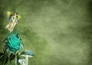 (云溪茶舍攻略真相)在云溪茶舍寻找线索：一场悬疑之旅的开始