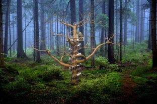 (新剑与魔法手游官网)探秘新剑与魔法官方网站:发现神奇世界的秘密与冒险 (新剑与魔法手游官网)探秘新剑与魔法官方网站:发现神奇世界的秘密与冒险