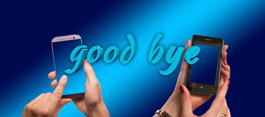 (光环3手机版)光环3 iOS版最新消息:全新地图、宠物加入,更多战斗新玩法揭秘 (光环3手机版)光环3 iOS版最新消息:全新地图、宠物加入,更多战斗新玩法揭秘