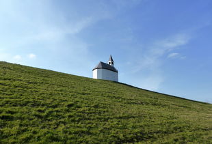 探索乐趣无穷的迷你像素农场中文版，感受精彩农场生活的乐趣和挑战