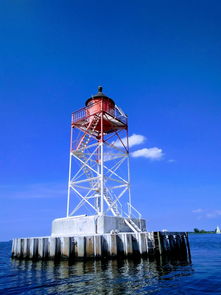 (生命方舟公司官方网站)生命方舟5:创新科技与医疗结合,重塑人们对健康认知的新篇章 (生命方舟公司官方网站)生命方舟5:创新科技与医疗结合,重塑人们对健康认知的新篇章