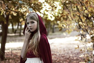 (秋之回忆合集攻略)秋之回忆攻略2：探秋采风，追忆往昔，留住美好季节的点点滴滴