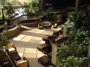 (河北宾馆安悦酒店几星级酒店)河北宾馆安悦酒店:享受优雅奢华的住宿体验 (河北宾馆安悦酒店几星级酒店)河北宾馆安悦酒店:享受优雅奢华的住宿体验