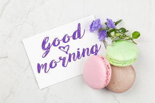 (迪迪豆豆大冒险故事)迪迪豆豆爱冒险:一部充满创意与惊喜的精彩动画片 (迪迪豆豆大冒险故事)迪迪豆豆爱冒险:一部充满创意与惊喜的精彩动画片