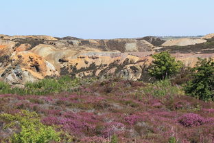 (斗破苍穹巅峰斗气)斗破苍穹巅峰对决手游下载,全新玩法引领你走向巅峰大陆 (斗破苍穹巅峰斗气)斗破苍穹巅峰对决手游下载,全新玩法引领你走向巅峰大陆