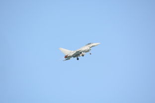 (《新二战之鹰击长空》)新二战之鹰击长空：英勇飞行员重现战争史诗般的壮丽画卷