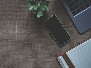 (邦邦小游戏)邦邦网络推出热门游戏大揭秘：涵盖众多精彩游戏种类