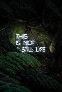 (探秘妖神记游戏的神秘世界,勇者的传奇之旅怎么过)探秘妖神记游戏的神秘世界，勇者的传奇之旅