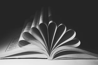 一起探索暗夜官网,寻找最新资讯和草稿! 一起探索暗夜官网,寻找最新资讯和草稿!