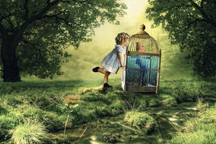 无尽夏少女:追寻阳光与梦想的青春旅程,感受无尽的欢乐与自由 无尽夏少女:追寻阳光与梦想的青春旅程,感受无尽的欢乐与自由