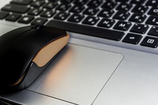 探讨笔记本电脑小键盘开关的使用方法及功能及如何有效地利用它 探讨笔记本电脑小键盘开关的使用方法及功能及如何有效地利用它