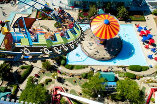 勇闯女儿国阵容揭秘：女性主导作品为何能一路破浪获得良好市场表现？