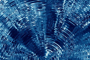 (微观世界:细胞的生存)探寻未知的微观世界：深入细胞世界书中的奥秘和魅力