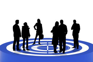 (国际服装市场现状)攀登决胜巅峰：揭秘国际服装行业的发展趋势与成功秘诀