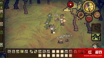 饥荒海难中文版微信小游戏-饥荒海难中文版官方版下载v.3.71