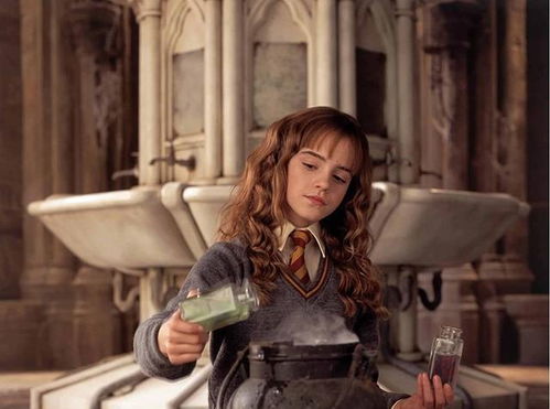 赫敏巫师教育1.6汉化版最新版下载安卓-赫敏巫师教育1.6汉化版下载v.1.93