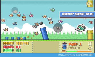 我的鸟制造1.45版本官方版下载-我的鸟制造1.45版本安卓版v.8.45