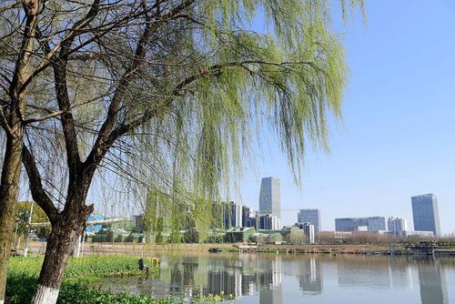 筑梦水乡不减反增版下载-筑梦水乡全解锁最新版2024下载v.2.19 筑梦水乡不减反增版下载-筑梦水乡全解锁最新版2024下载v.2.19