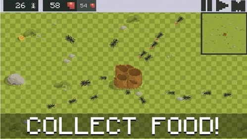 蚁群模拟器2汉化版手机版下载-蚁群模拟器2汉化版最新下载联机版2024无广告v.6.51 蚁群模拟器2汉化版手机版下载-蚁群模拟器2汉化版最新下载联机版2024无广告v.6.51