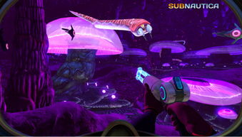 融合水世界中文版免费安装下载-融合水世界手游最新正式版(暂未上线)v.7.83 融合水世界中文版免费安装下载-融合水世界手游最新正式版(暂未上线)v.7.83