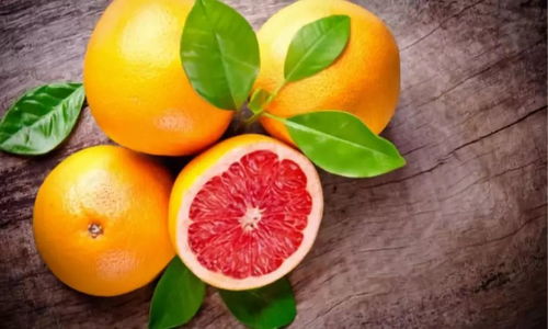 多汁水果合并手机版最新官方版下载-多汁水果合并手机版无限元宝免广告下载v.8.32 多汁水果合并手机版最新官方版下载-多汁水果合并手机版无限元宝免广告下载v.8.32