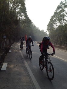 速降山坡自行车最新版下载安卓-速降山坡自行车无限背包无限血下载v.2.56