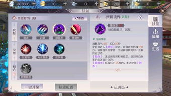 盛龙至尊火龙角色经验表：打造无敌玩家的必备秘籍